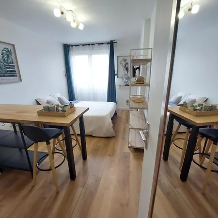 Apartamento Le Petit - Parking Gratuit - Proche De Pau Lons